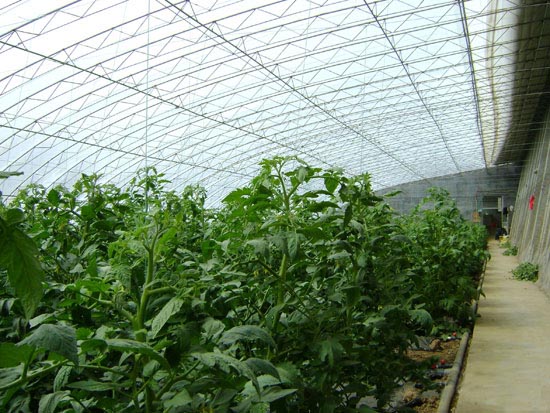 種植溫室